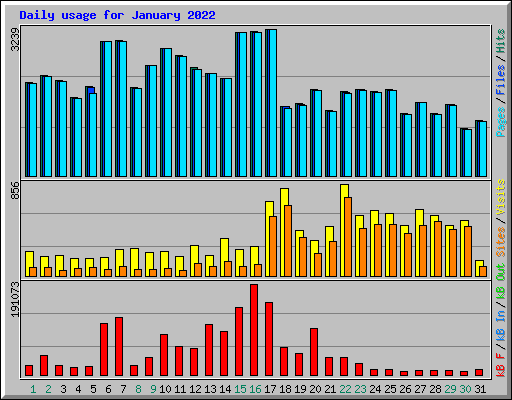 Daily usage for January 2022