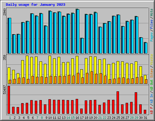 Daily usage for January 2023