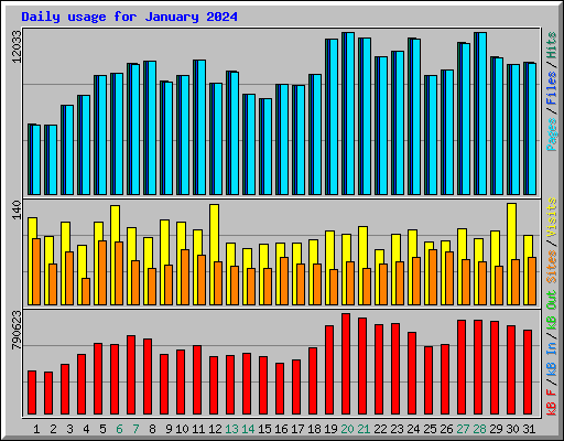 Daily usage for January 2024
