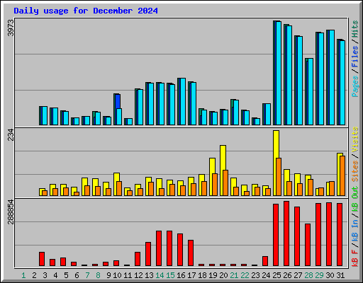 Daily usage for December 2024