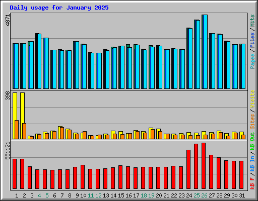 Daily usage for January 2025