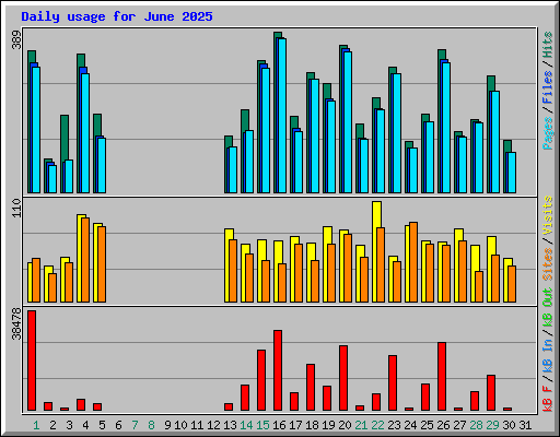 Daily usage for June 2025