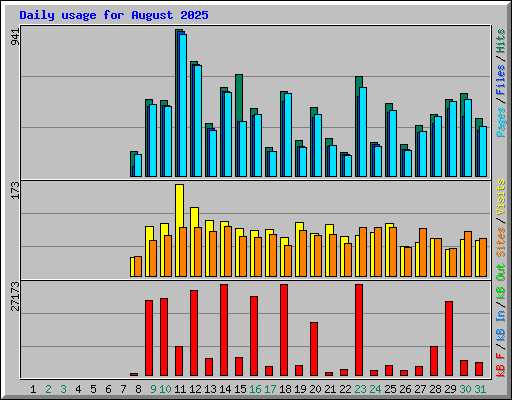 Daily usage for August 2025