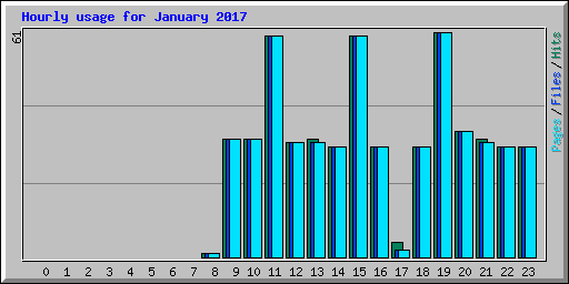 Hourly usage for January 2017