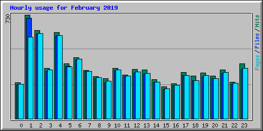 Hourly usage for February 2019