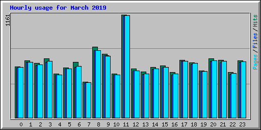 Hourly usage for March 2019