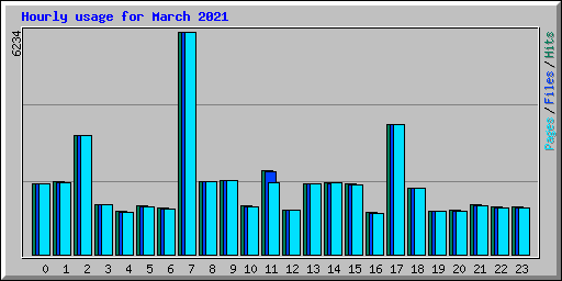 Hourly usage for March 2021