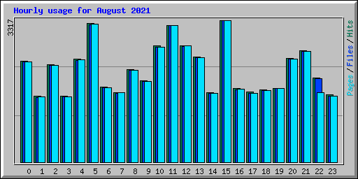 Hourly usage for August 2021