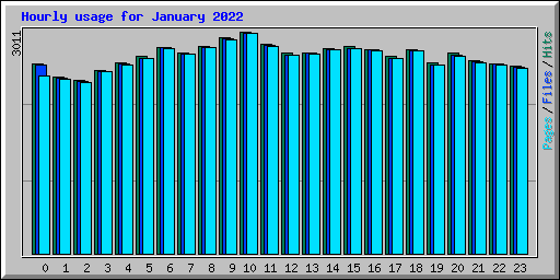 Hourly usage for January 2022