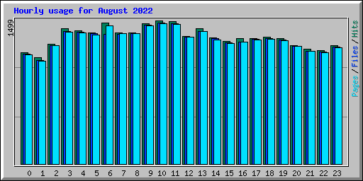 Hourly usage for August 2022