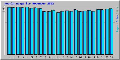 Hourly usage for November 2022