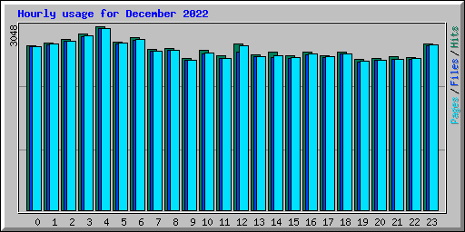 Hourly usage for December 2022