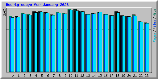 Hourly usage for January 2023