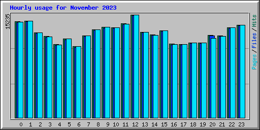 Hourly usage for November 2023