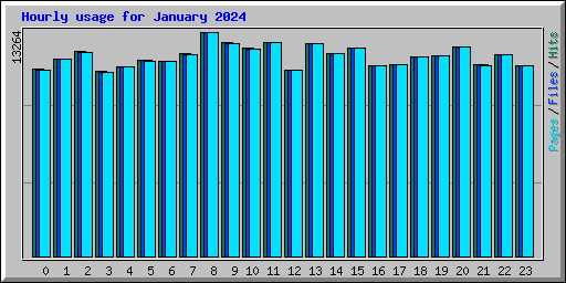 Hourly usage for January 2024