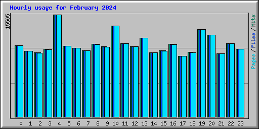 Hourly usage for February 2024