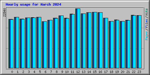 Hourly usage for March 2024