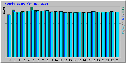 Hourly usage for May 2024