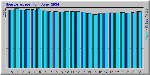 Hourly usage for June 2024