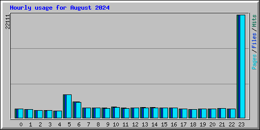 Hourly usage for August 2024