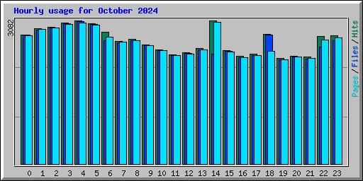 Hourly usage for October 2024