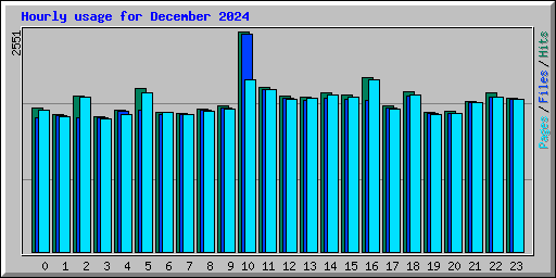 Hourly usage for December 2024