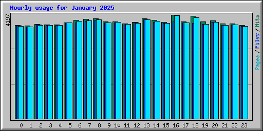 Hourly usage for January 2025