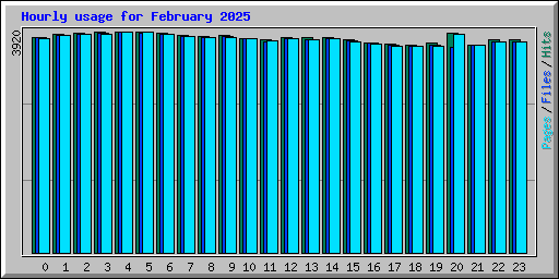 Hourly usage for February 2025
