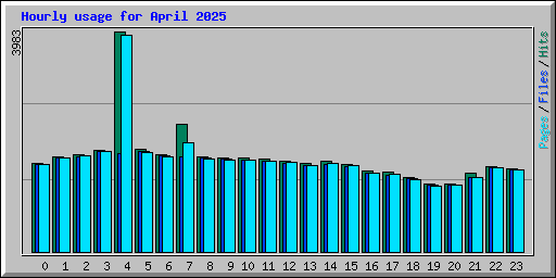 Hourly usage for April 2025