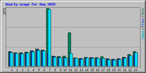 Hourly usage for May 2025