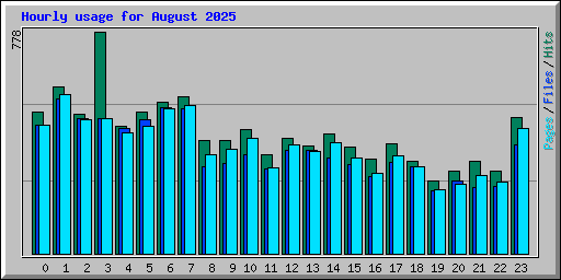 Hourly usage for August 2025