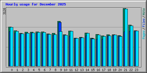 Hourly usage for December 2025