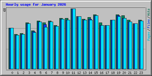 Hourly usage for January 2026
