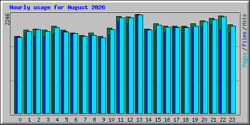 Hourly usage for August 2026